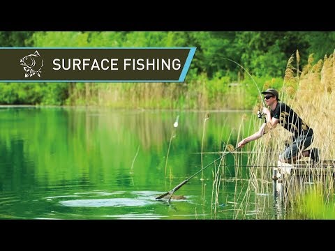 How to catch carp off the surface - Floater Fishing