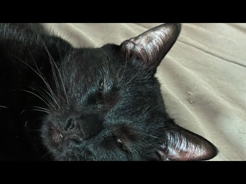 Artie’s first time in the apartment.