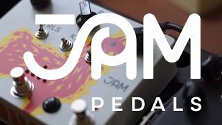  Ambient Sketch 056 - Jam Pedals Delay Llama Xtreme Analog Delay 