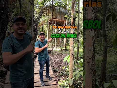 Así fue mi experiencia durmiendo en una CASA DEL ÁRBOL en el Amazonas Colombiano #Leticia #Amazonas
