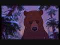 Brother Bear Hurt
