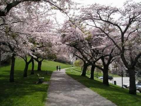 My Choice 447 - Émile Waldteufel: Très Jolie Valse