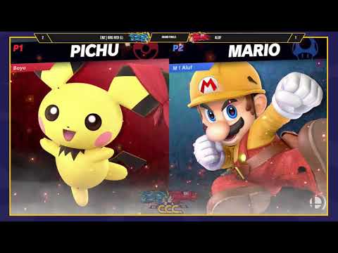 CCC2019 SSBU Grand Finals ENZ ORG Red vs Aluf