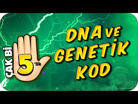 DNA ve Genetik Kod 🖐🏻 5 Dakikada Net Artırma Garantili!