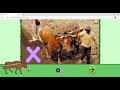 LETTER Xx HOW TO TEACH LETTER SOUNDS AND PHONICS