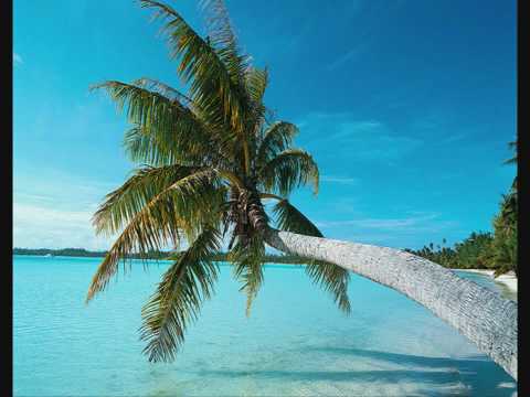 Hott 22 - Make Up Your Mind