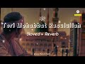 Teri Mohabbat Ya Rasoolallah ﷺ | Ghulam Mustafa Qadri | (Sloved+Reverb) Naat | Md Rafiuddin