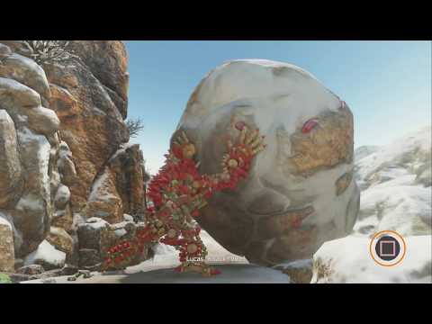 Vidéo Knack