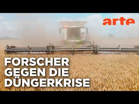 Video Thumbnail: Dünger der Zukunft: Die Stickstoff-Revolution | Doku HD | ARTE