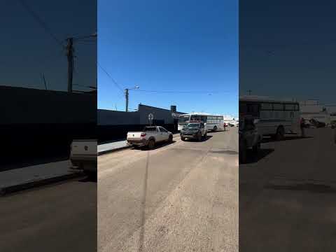 Polícia Penal transfere 20 detentos condenados da Unidade de Gurupi para Cariri do Tocantins
