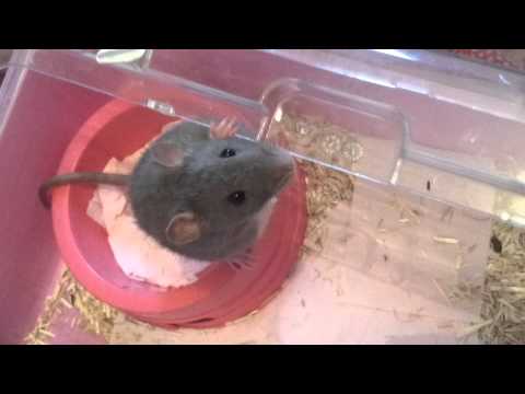 Azénor fait sa timide ^^