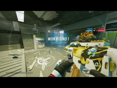 HIGHLIGHTS [R6-PC] | VIDA CHIQUE 💸 | Pegasuzk