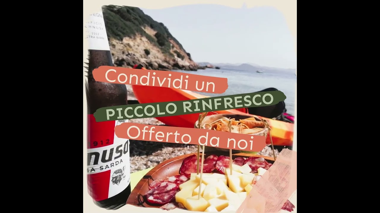 Visite matinale avec apéritifs et dauphins