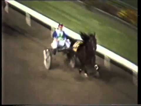 1985 NSW Pacers Derby