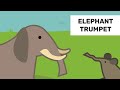Elephant Trumpet