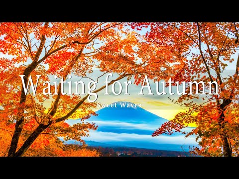 11 HRS Incredible Fall Foliage - Best 4K Autumn Nature Scenes from Around the World + Calming Music