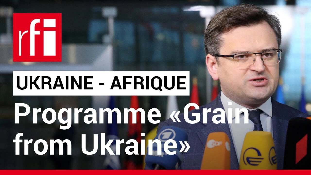 Ukraine : l’Afrique recevra des céréales dans le cadre du programme « Grain from Ukraine »