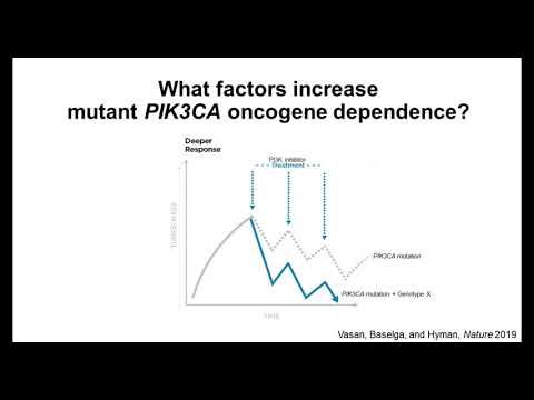 Oncogene additivity in the PI3K pathway in cancer