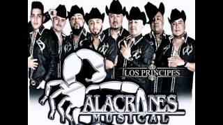 Mejor Sin Ti - Alacranes Musical 2015 (Audio Oficial) [+LinkDescarga]