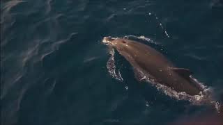 Download lagu Asmaul Husna menyentuh hati mp3 Download lagu Asmaul Husna menyentuh hati mp3