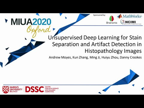 MIUA 2020: Unsupervised Deep Learning for Stain Separation and Artifact Detection in Histopathology