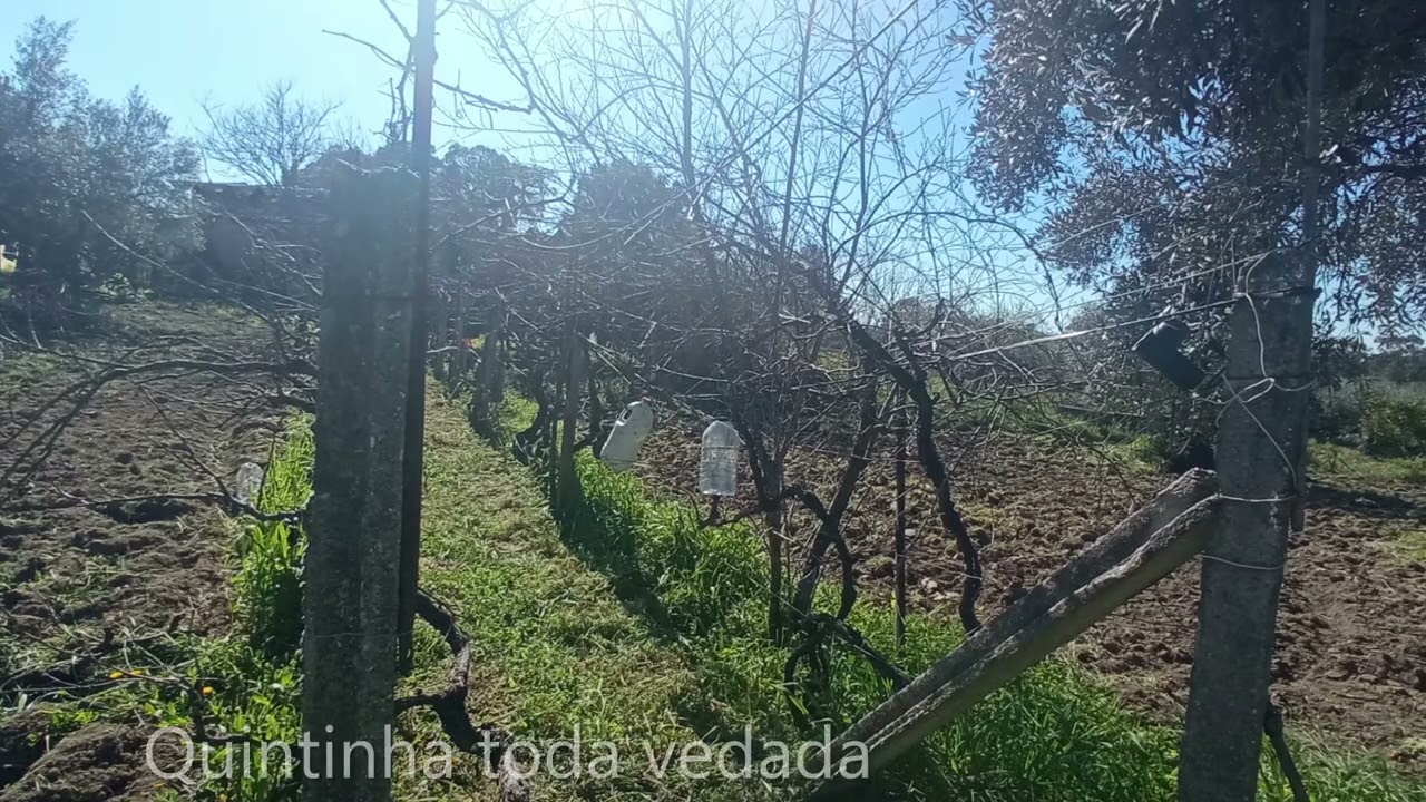 Vídeo do imóvel