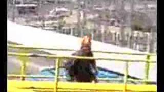 Dança do Siri no Trecho