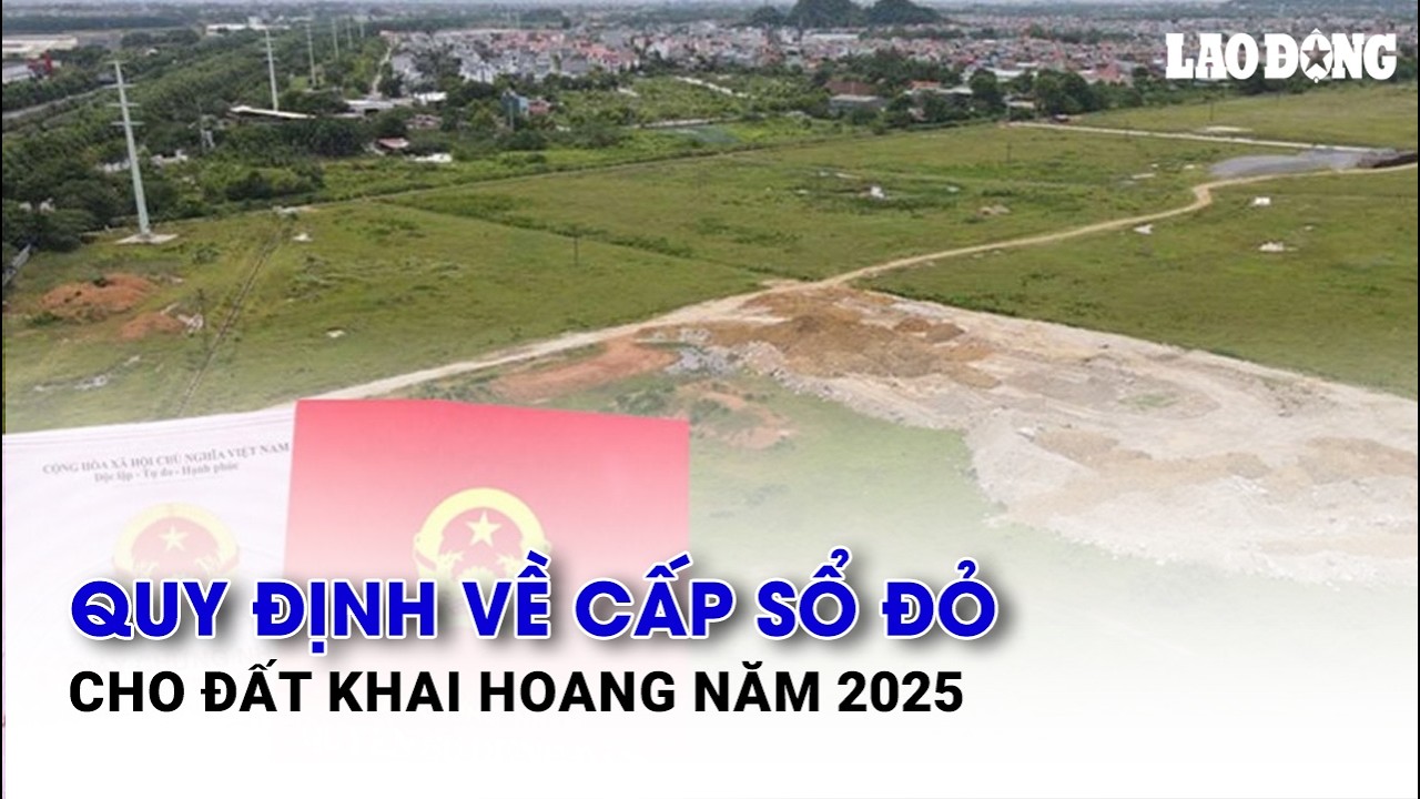 Quy định về cấp sổ đỏ cho đất khai hoang năm 2025