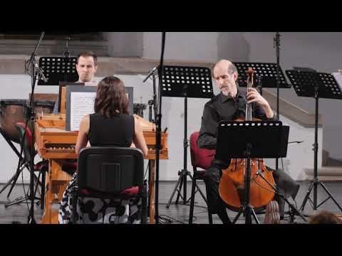 Bach: Concerto for 2 Harpsichords in C minor - Bojana Dimković, Dušan Toroman, New Trinity Baroque