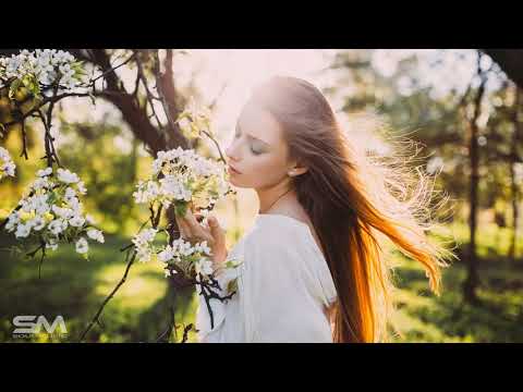 DJ Phellix feat. Maryama - Bar Sabze Neshin (Original Mix)