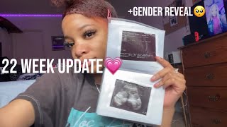 22 week teen pregnancy update +gender reveal