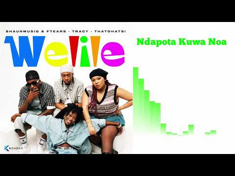 ShaunMusiQ & Ftears, Tracy & Thatohatsi - Ndapota Kuwa Noa (Official Audio Visualizer)