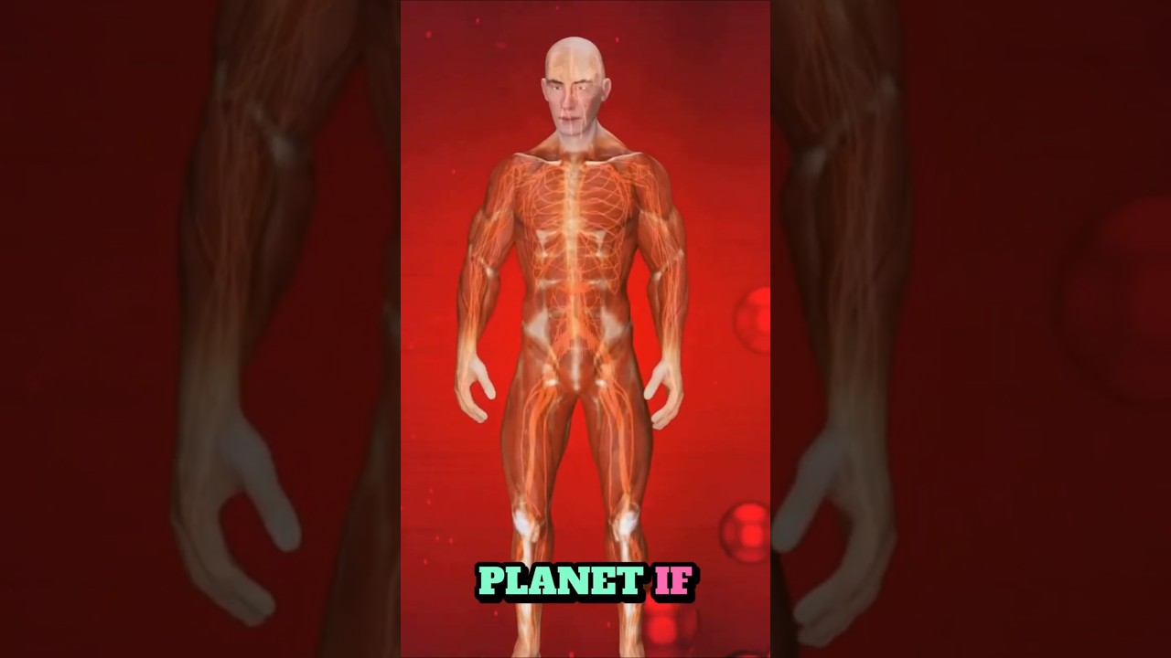 Can Ancient Japanese Wisdom Save Our Planet?