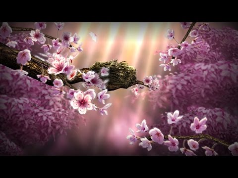 Season Zen Free Video