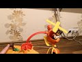 Go Diego Go Animal Resque Center