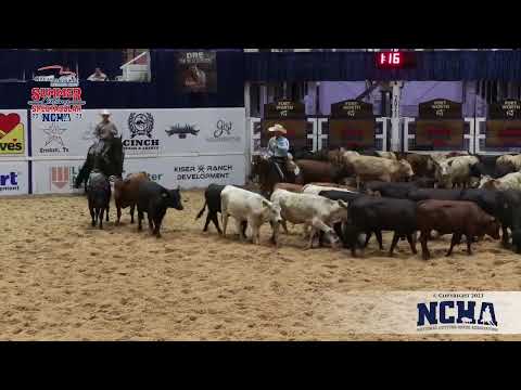 Michael Cooper & Starry Eyedd -  2023 NCHA Summer Spectacular 5/6 Open Champions