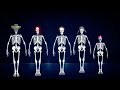 Funny Skeleton Finger Finger In 3D