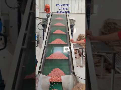 Z Type Bucket Elevator Chain