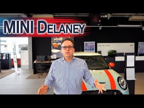 VOGEL AUTOHÄUSER - LIMITIERTER MINI - Delaney Edition