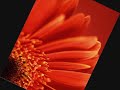 FULL MOVIE Effects In Windows Movie Maker 6 0 6 Free