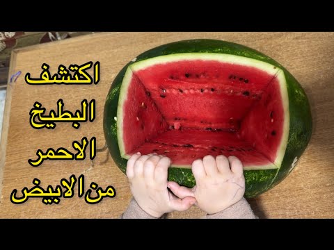 كيف تميز البطيخً الاحمر العسل من الابيض بخدعه بسيطه لا يعلمها الكثير