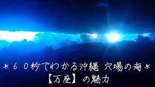 オーシャンアドベンチャー