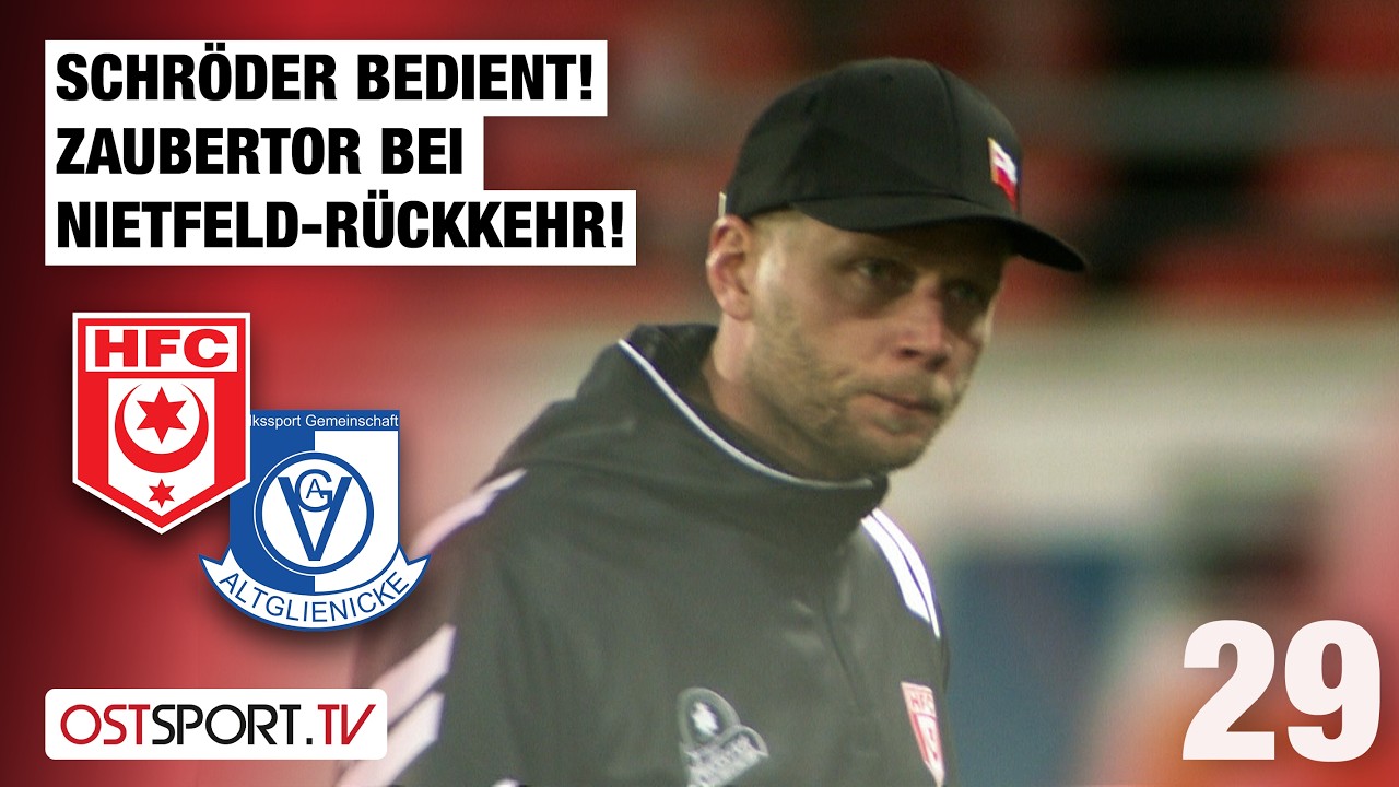 Hallescher vs VSG Altglienicke Highlights