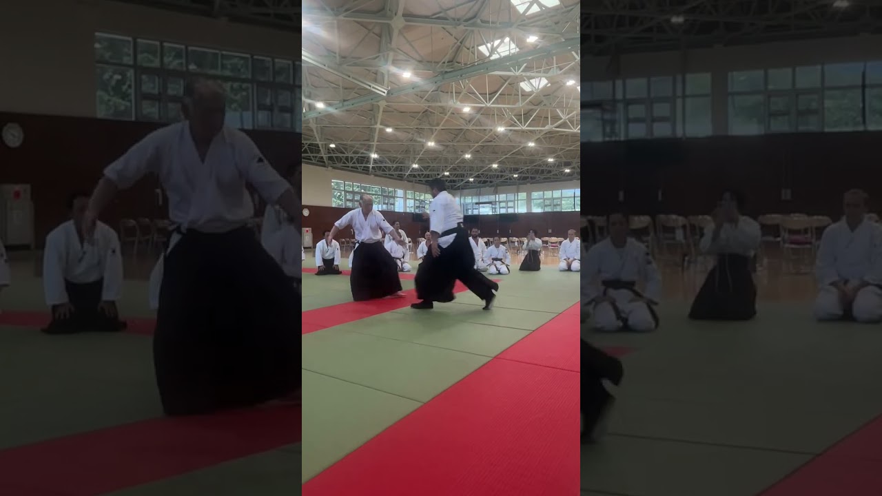 合宿稽古風景　#大東流合気柔術 #大東流 #合気道 #martialarts #Daitoryu #aikido #aiki #jiujitsu　#shorts