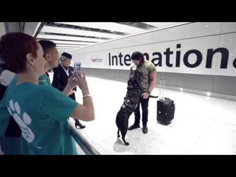 British Airways | Hurricane's Journey to London