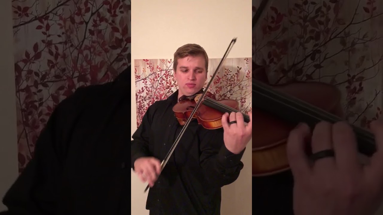 Promotional video thumbnail 2 for David Dietz - Professional Violinist