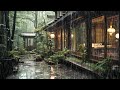 1M The Best Lullaby Sound Of Rain In A Forest