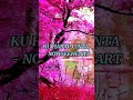 KU HARAP CINTA NOWSEEHEART