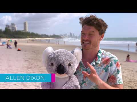 Gold Coast Beach Parade 16 9   Allan Dixon   Influencer