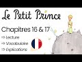 Lecture Français Niveau B1 : LE PETIT PRINCE (Chapitres 16 & 17)